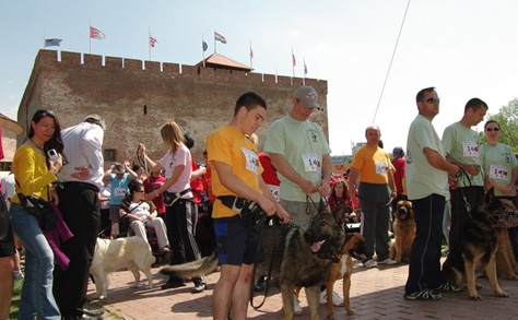 Ötödszörre rendezik meg Gyulán a Várfürdő félmaraton és váltófutást - ''Fuss a sérült gyermekekért!''